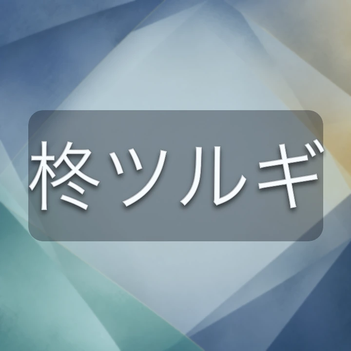 柊ツルギ のV-BUZZ独自プロフィールカード