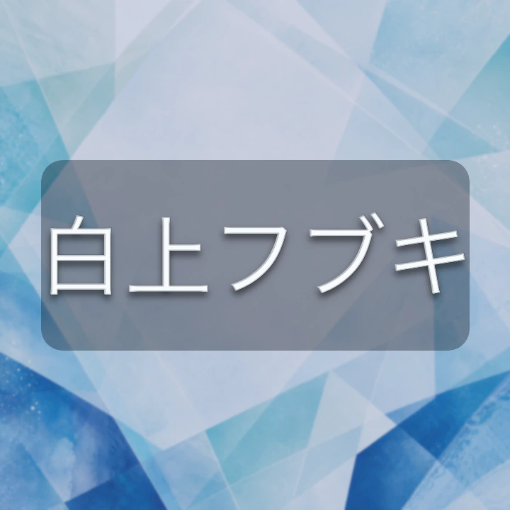 白上フブキ のV-BUZZ独自プロフィールカード