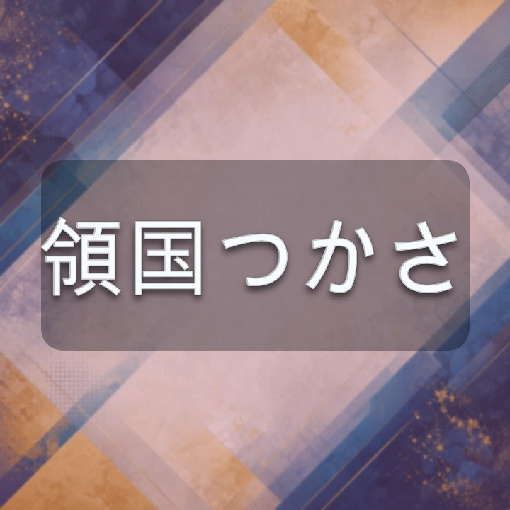 領国つかさ のV-BUZZ独自プロフィールカード